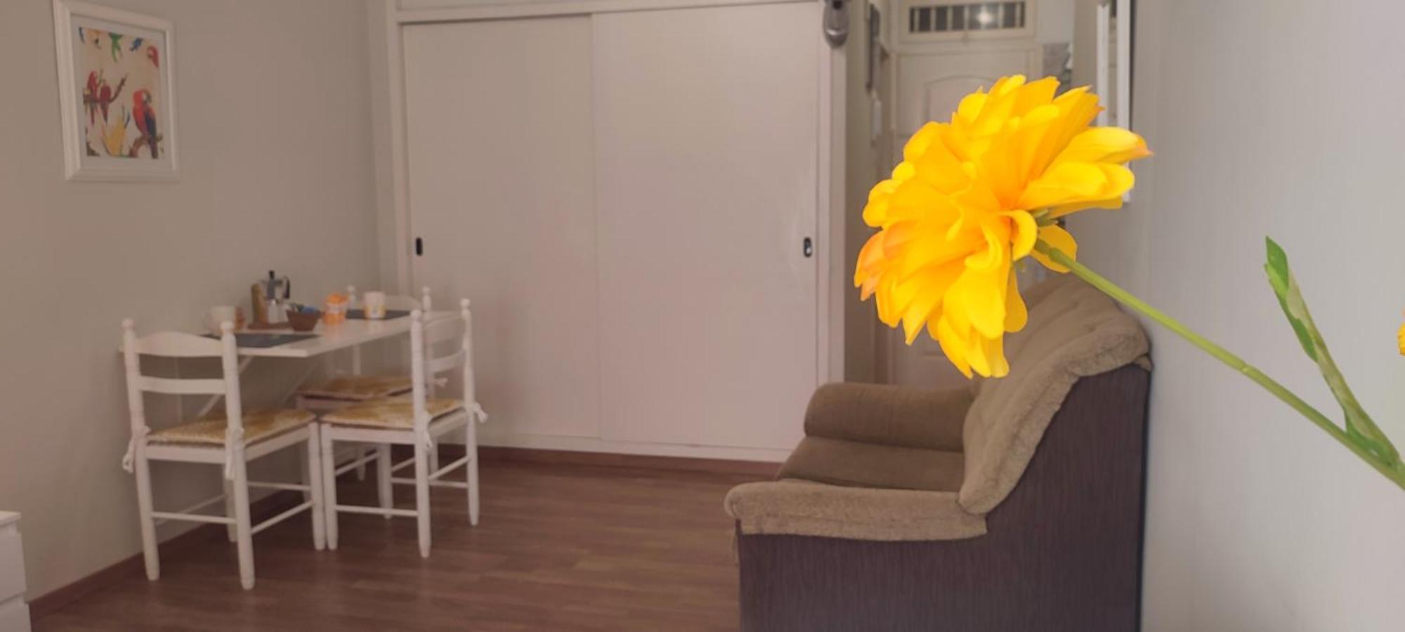 Brisa Del Sol Apartment Puerto de la Cruz  Bagian luar foto